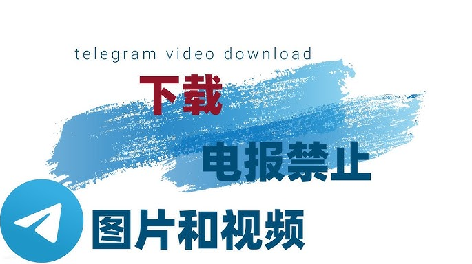 怎么在 Telegram 下载视频？新手一步步详细教程