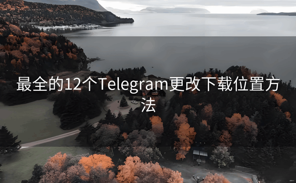 Telegram下载目录设置技巧：安卓与PC通用