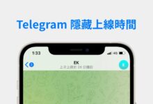 Telegram 隐身技巧教学：如何让对方无法看到你的活动与个人信息
