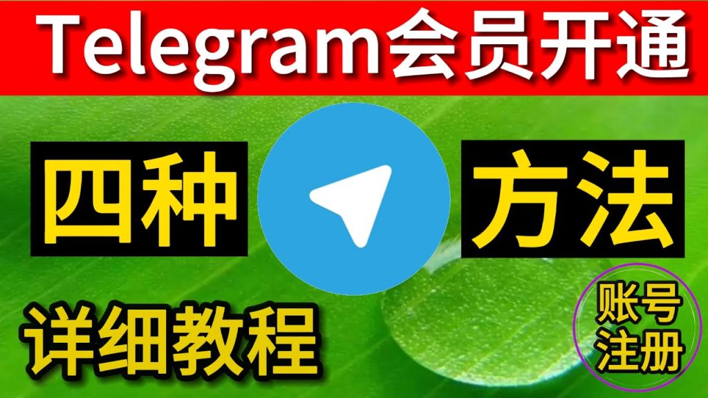 Telegram会员开通步骤全解析