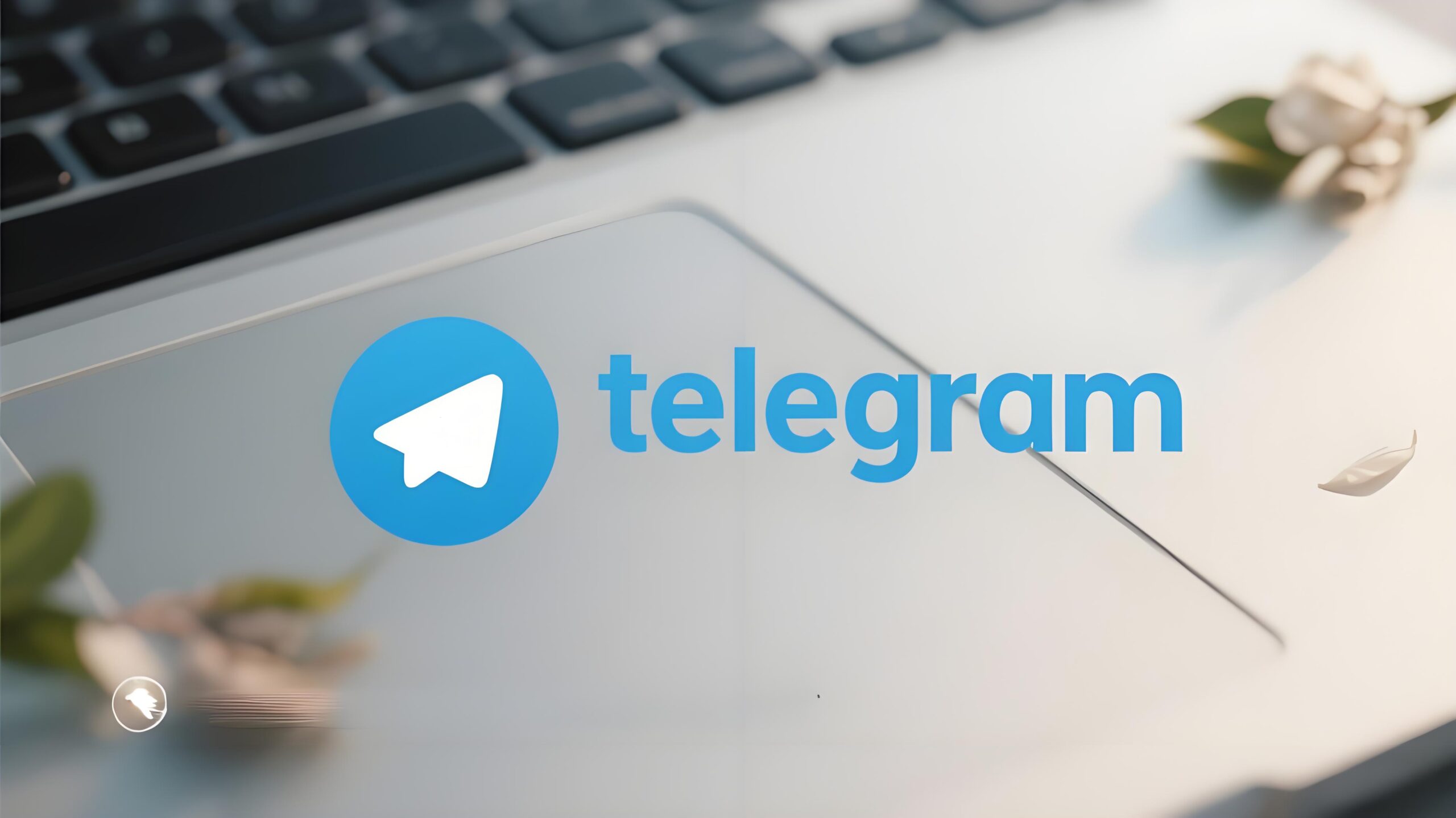Telegram 更新后无法登入？关键细节、验证机制与完整解决方案一次讲清